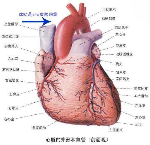 周围血管征视频,动态捕捉血管健康奥秘